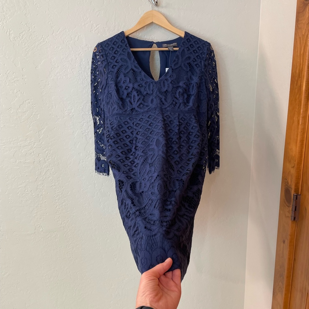 NWT Pea in the Pod V-Neck Lace Maternity Dress M in Blue